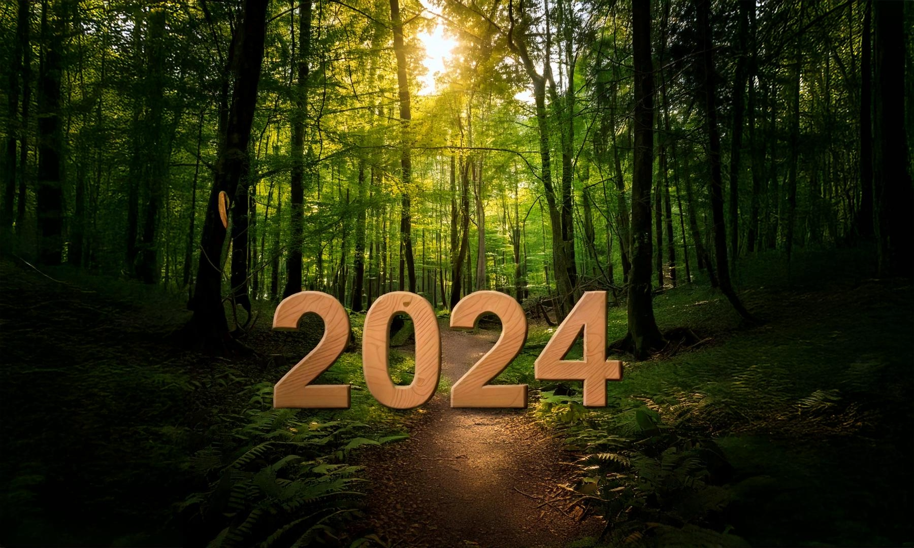 Cover art for 2024: The Year in Stories