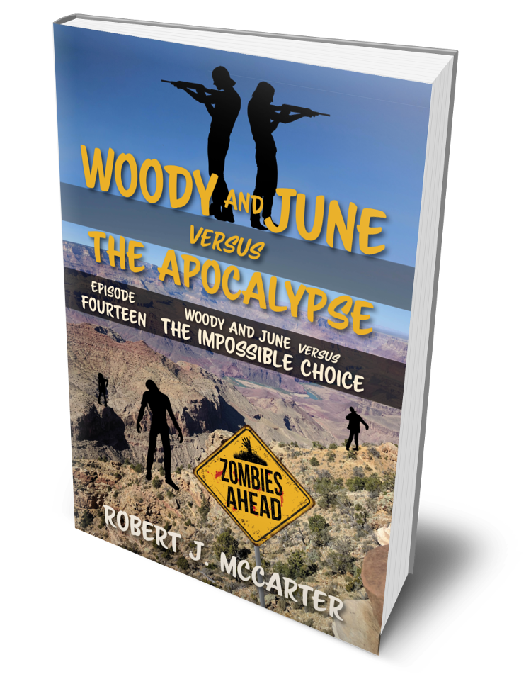 Cover art for Woody and June versus the Impossible Choice