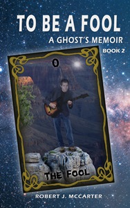 Cover art for A Fool's Journey
